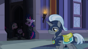 Night Guard after spell S2E20