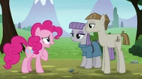 Pinkie Pie introduces herself one more time S8E3