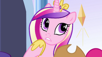 Princess Cadance -Flash Sentry I think- EG