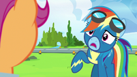 Rainbow Dash "I love them very much" S7E7