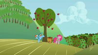 Rainbow Dash & Pinkie bucking apples S1E4