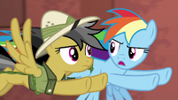 Rainbow Dash --if Quibble says go over him-- S6E13