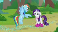 Rainbow Dash -the book you just read!- S8E17