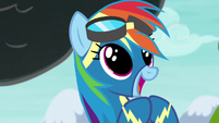 Rainbow Dash in wide-eyed excitement S6E7