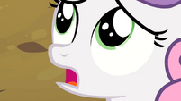 Sweetie Belle is shocked that it was actually Rarity with her everywhere except for the starting line.