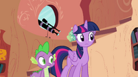 Twilight and Spike watching Pinkie S4E09