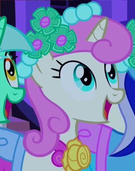 Twinkleshine Boda