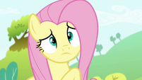 A confused Fluttershy S4E18