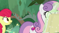 Apple Bloom following Sweetie Belle S9E22