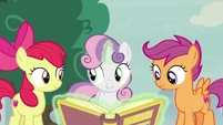 Cutie Mark Crusaders hatching a plan S7E8.png (967 KB)