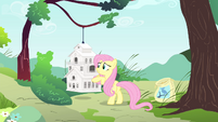Fluttershy trying to help Mr. Robin S4E23