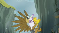 Gilda dragged along by Pinkie's stunt S5E8