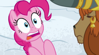 Pinkie Pie shocked by Rutherford's ultimatum S7E11