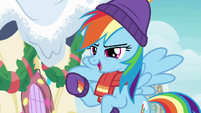 Rainbow Dash "some fast animal out there" MLPBGE