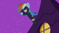 Rainbow Dash looking S2E04