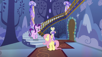 Starlight asks Fluttershy where the animals are S6E21