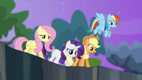 Twilight's friends looking into the ravine S4E02