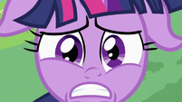 Twilight Sparkle "Learn anything about" S2E03