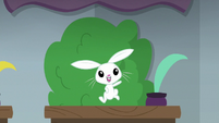 Angel Bunny jumping on his desk S8E2