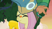 Fluttershy with a hoof covered in honey S7E20