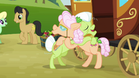 Granny Smith and Apple Rose reunite at last.