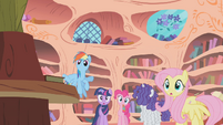 Main 5 notice Applejack is gone S1E09