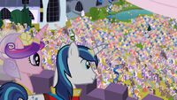 Princess Cadence and Shining Armor