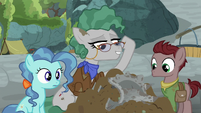 Professor Fossil "this belonged to a real pony" S7E25