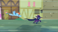 Mare Do Well is chased by Rainbow Dash! Who will win?