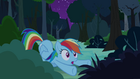 Rainbow Dash cheers Daring Do on S4E04