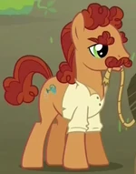 Seedsman Hooffield ID S5E23