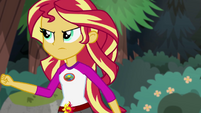 Sunset Shimmer continues to follow Timber Spruce EG4