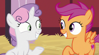 Sweetie Belle and Scootaloo excited S8E10