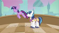 Shining Armor just smiling at Twilight's joy.