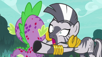 Zecora panicking "we should go!" S8E11