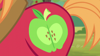 A close-up of Big McIntosh's cutie mark S6E4