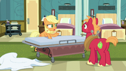 Applejack tells Big Mac to lie on the gurney S6E23