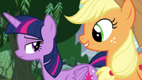 Applejack walks next to Twilight S4E25