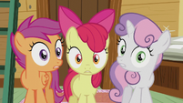 Cutie Mark Crusaders shocked "we are?!" S5E18