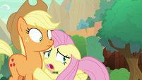 Fluttershy "I hope that's not a Nirik!" S8E23