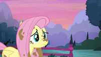 Fluttershy confused S5E3