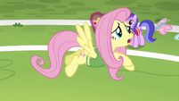 Fluttershy guiding butterflies off the field S6E18