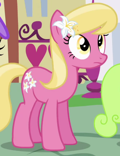     My Little Pony Friendship Is Magic - Shazoo