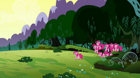 Pinkie walking out of the Everfree Forest with her clones S3E03