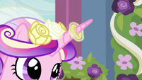 Ring on Cadance's horn S2E26