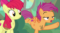 Scootaloo "we are definitely not lost" S9E22