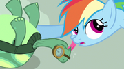 Tank beijando a Rainbow Dash T3E11