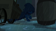 Trixie about to step in a water puddle