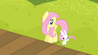 Fluttershy, the animals!