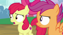 Apple Bloom "what do you mean?" S7E6